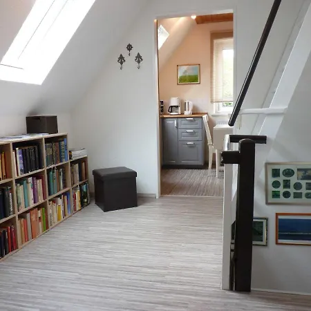 Loquard, 15168 * 리어